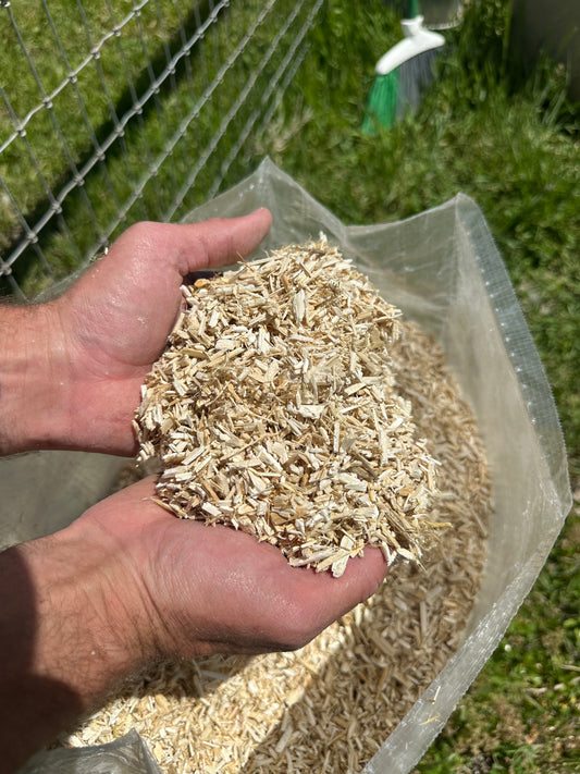 A person holding a handful of light tan hemp shavings or in front of a clear plastic bag filled with more of the same, outdoors on grass.