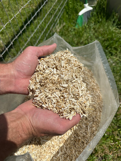 A person holding a handful of light tan hemp shavings or in front of a clear plastic bag filled with more of the same, outdoors on grass.
